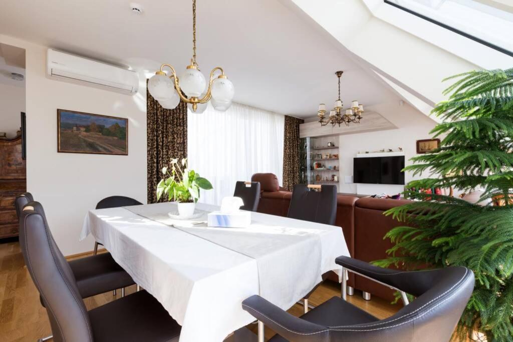 Grosses Penthouse #12 Mit Terrasse Und Aussicht Lägenhet Wien Exteriör bild